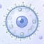 BioForms Whitelist Registration