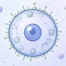 BioForms Whitelist Registration